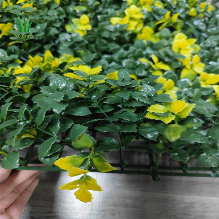 Best Plants For Vertical Garden