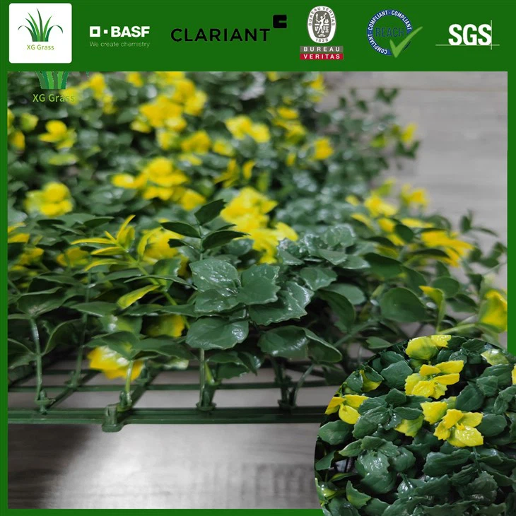 Tanaman Terbaik Untuk Taman Vertikal