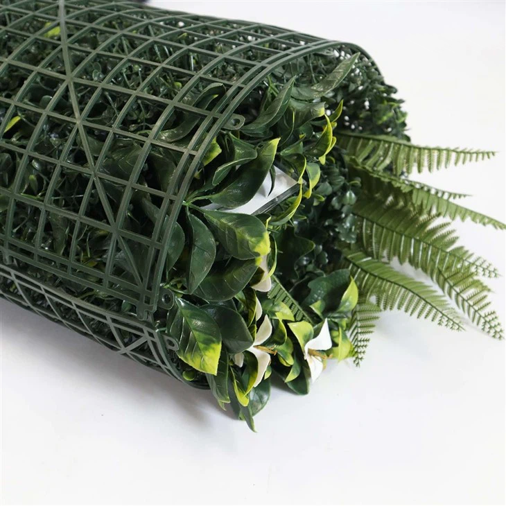 Green Wall Plants Indoor