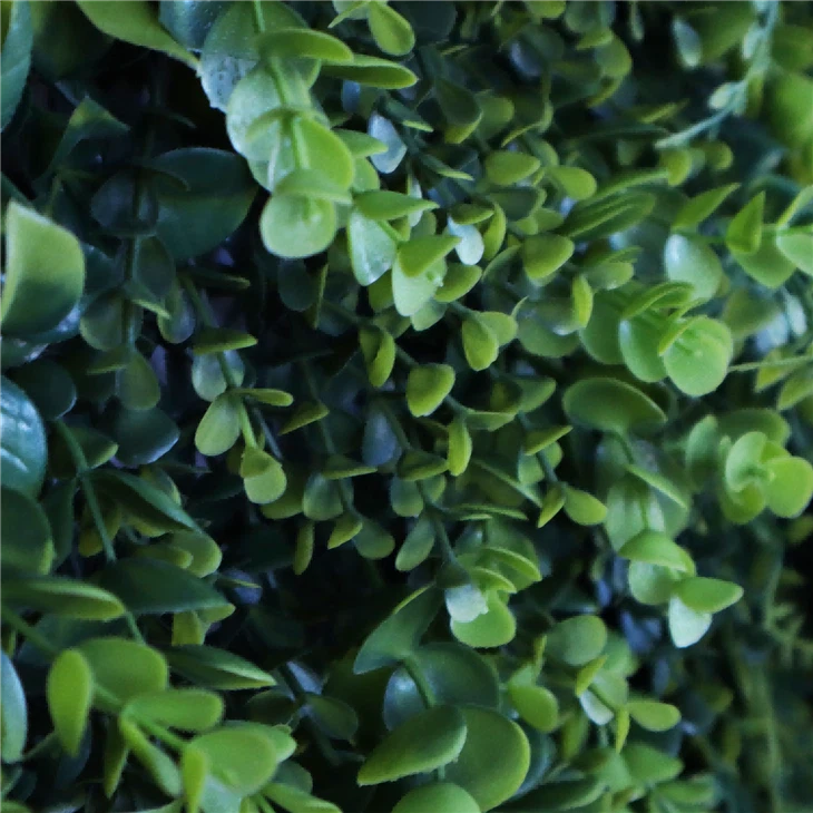 Hanging Plants Indoor Wall