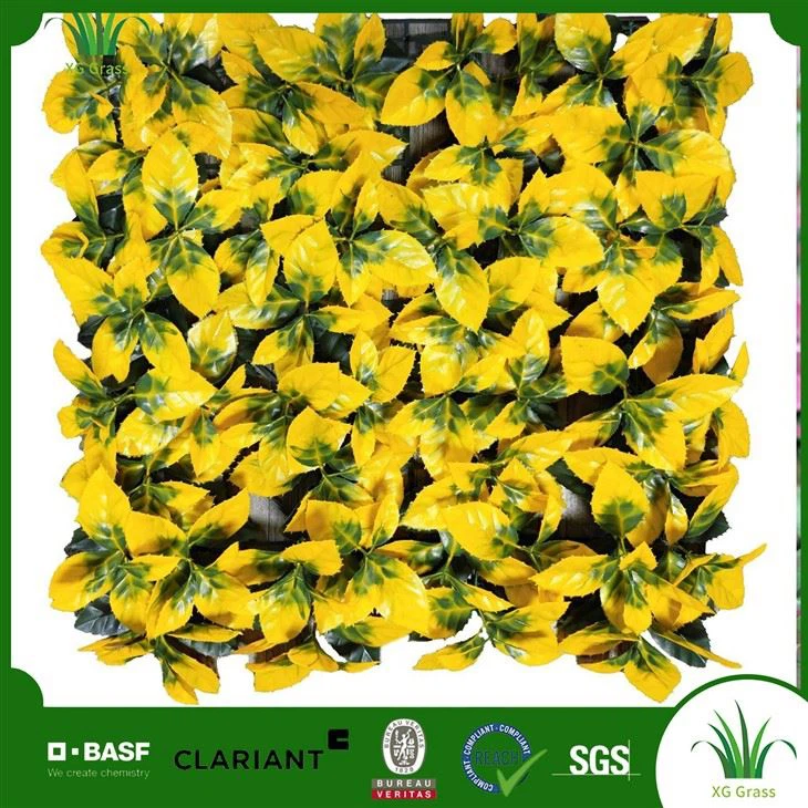 Dinding Taman Gantung Dalam Ruangan