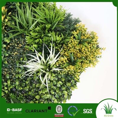 Dinding Ramuan Dalam Ruangan