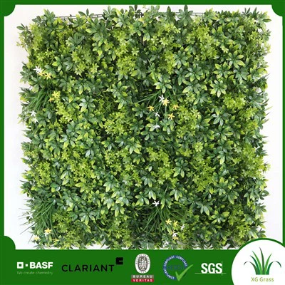 Dinding Tanaman Ruang Makan