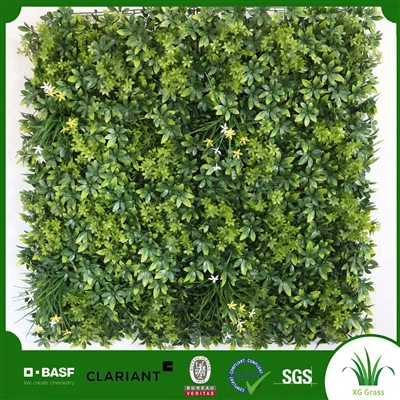 Dinding Tanaman Diy Dalam Ruangan