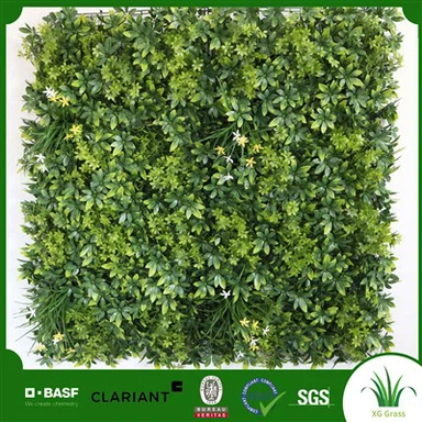 Dinding Tanaman Diy Dalam Ruangan