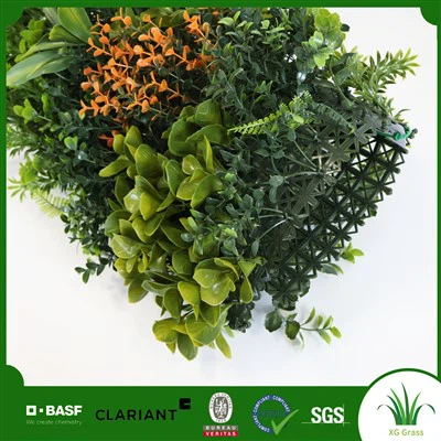 Tembok Hijau Tahan Lama