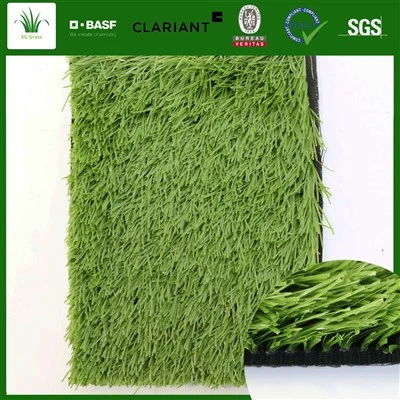 Harga Rumput Sepak Bola Warna Berbeda
