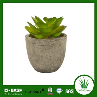 Tanaman Buatan Manusia Hidup Untuk Dekorasi Rumah Dan Kantor