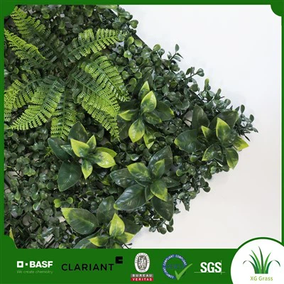 Dinding Hijau Hidup Dalam Ruangan