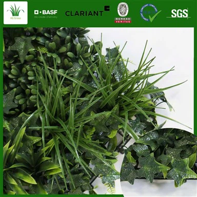 Dinding Lumut Hidup Di Dalam Ruangan