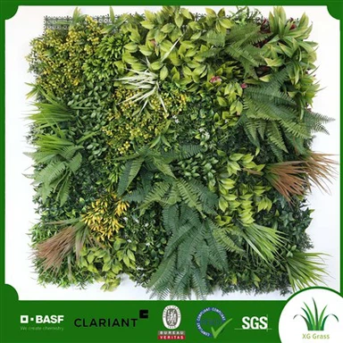 Dinding Hidup Di Dalam Rumah