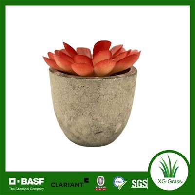 Grosir Tanaman Faux Mini Sukulen Buatan Merah Untuk Rumah & Kantor