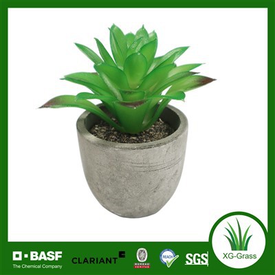 Tanaman Pot Sukulen Buatan Sedang